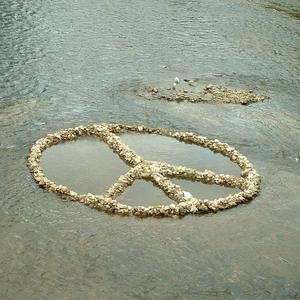 Meet your Posher, Cathy